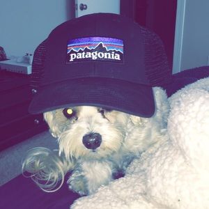 Meet your Posher, Jay